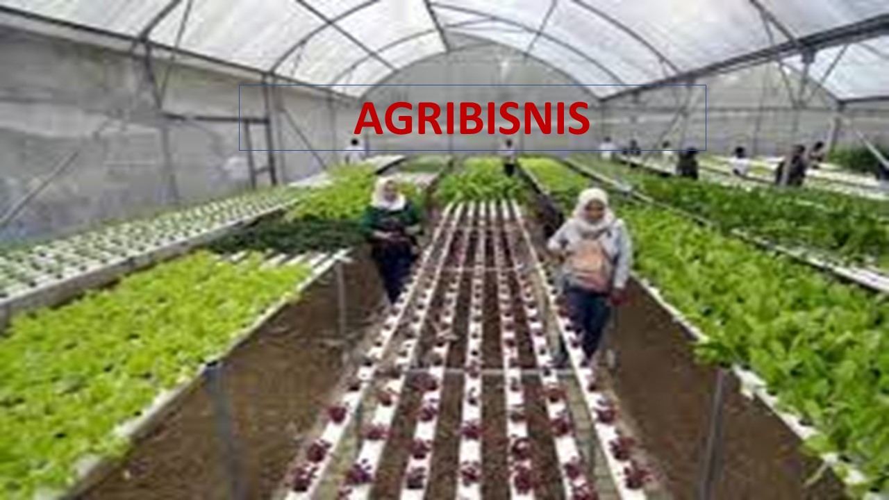 Course Image [18320192]-AGRIBISNIS (A)